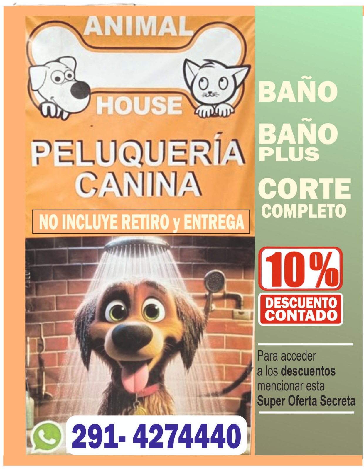 peluqueria Canina