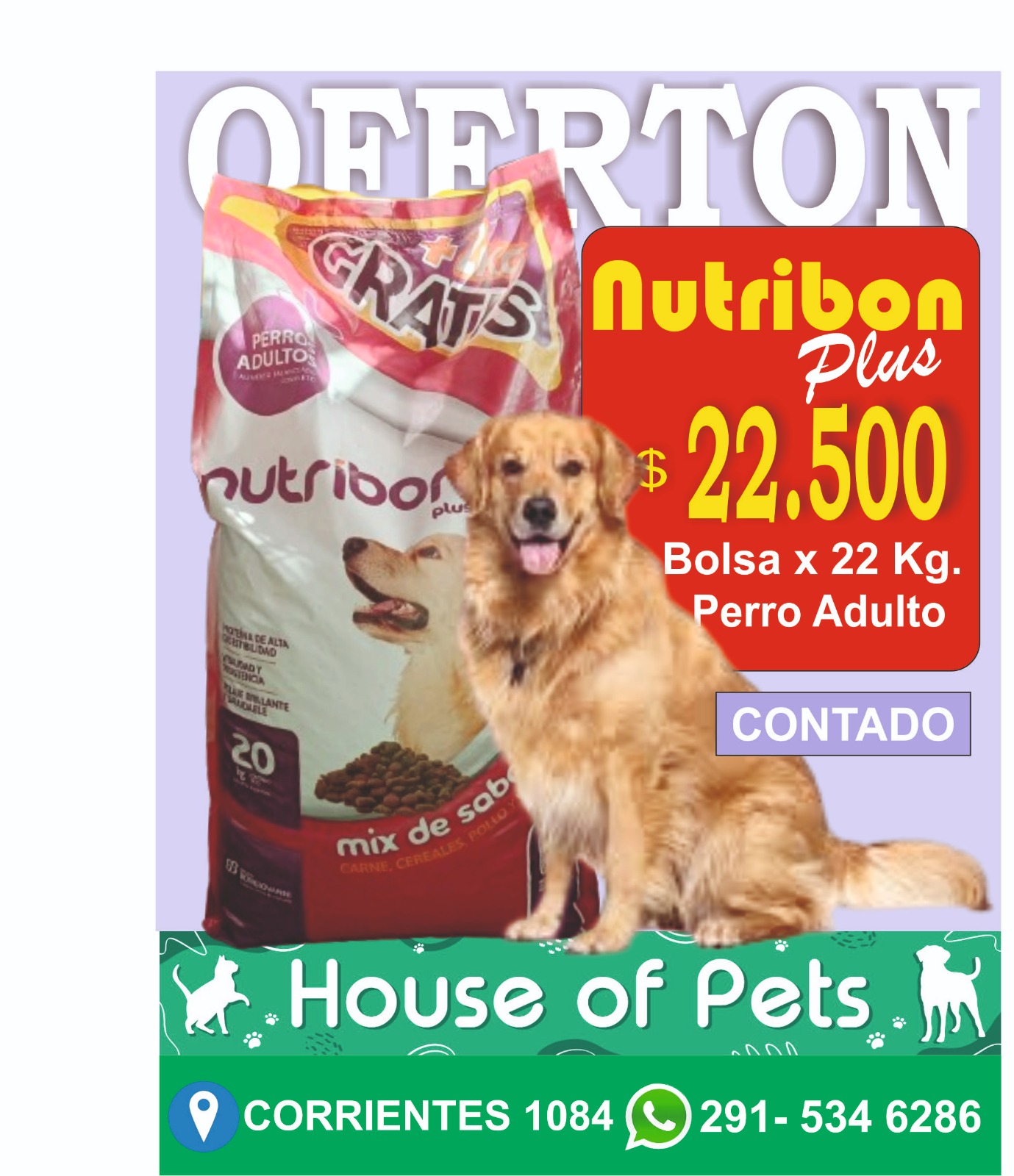 Alimento Nutribon Plus