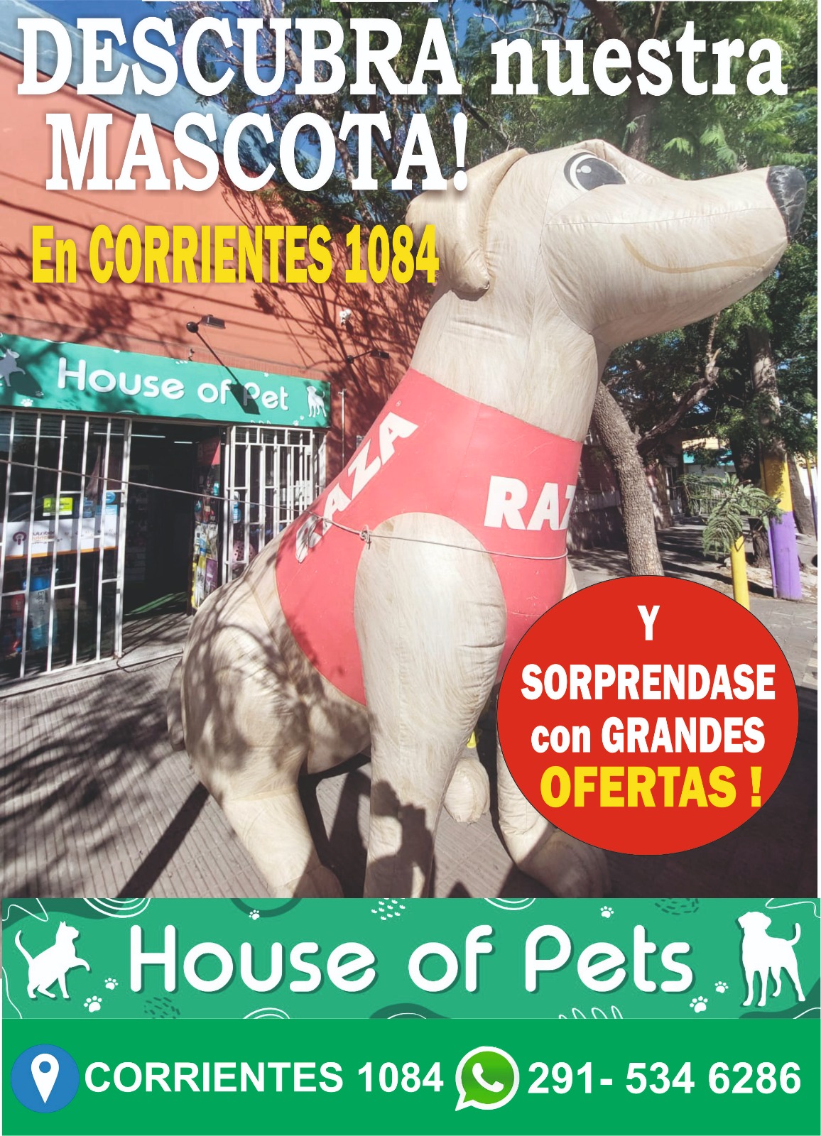 Muchas Ofertas para tu mascota