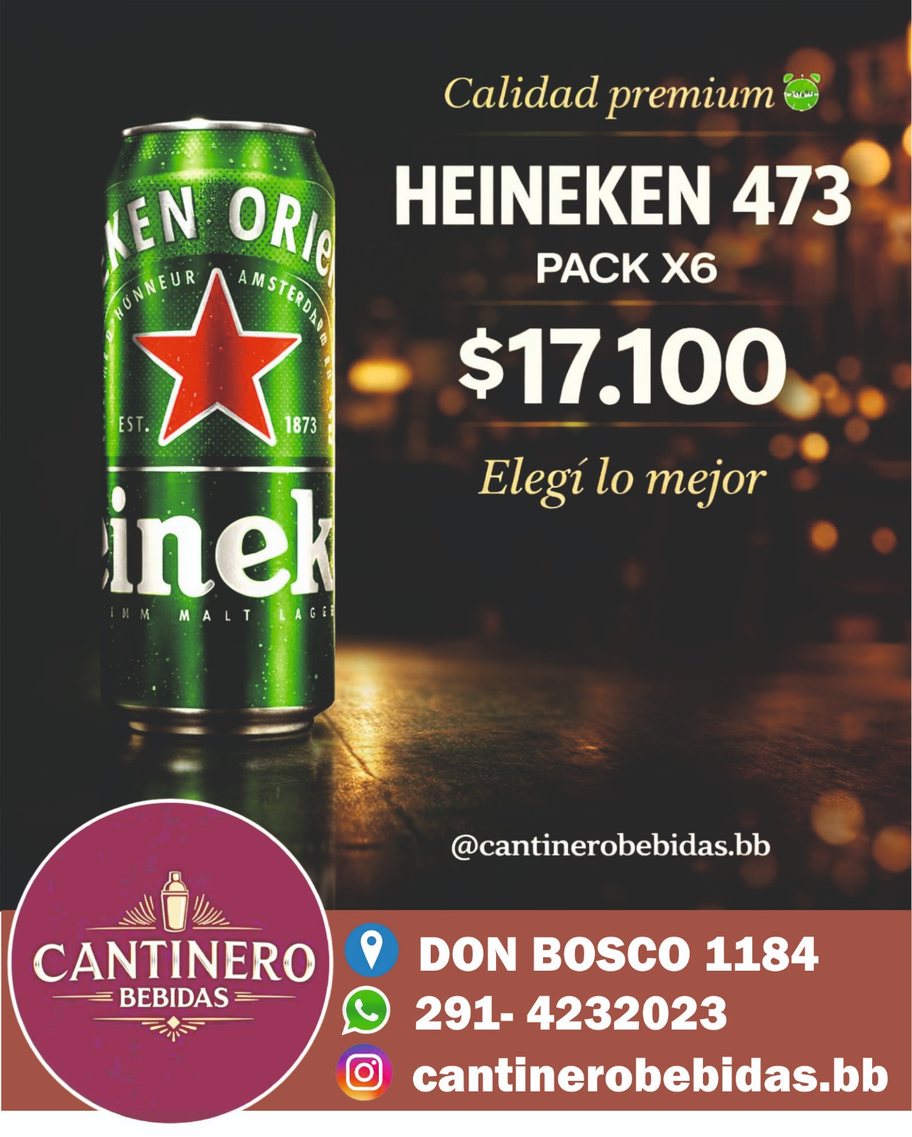 6 Pack Heineken